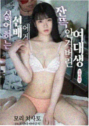 夏日回声剧集封面